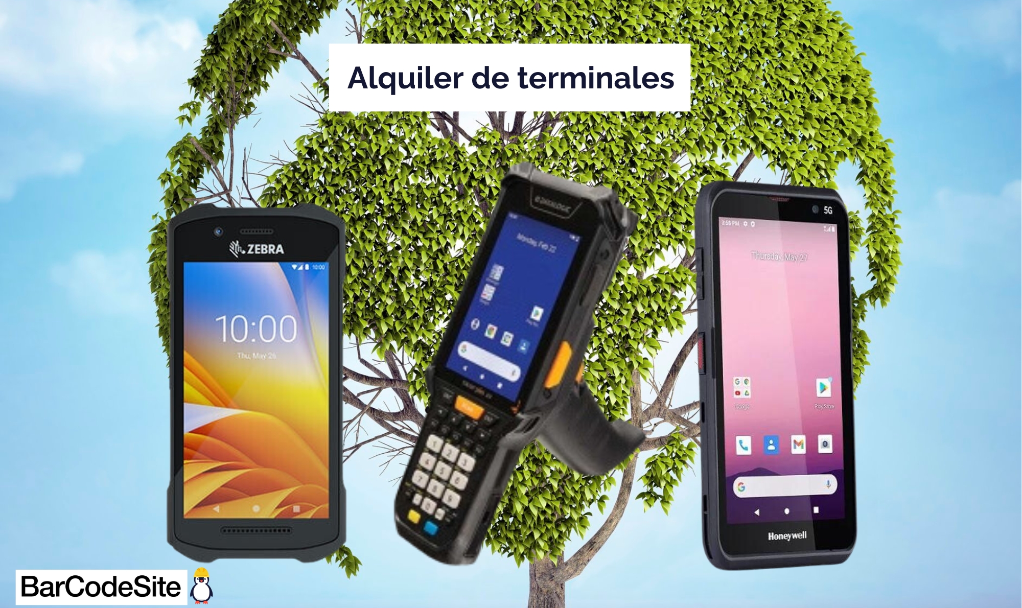 Alquiler de terminales